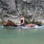 Lägenhet Urlaub, Wo Toskana Noch Authentisch Ist - Rustico Aus 16jh Mit Infinity Pool Pomarance